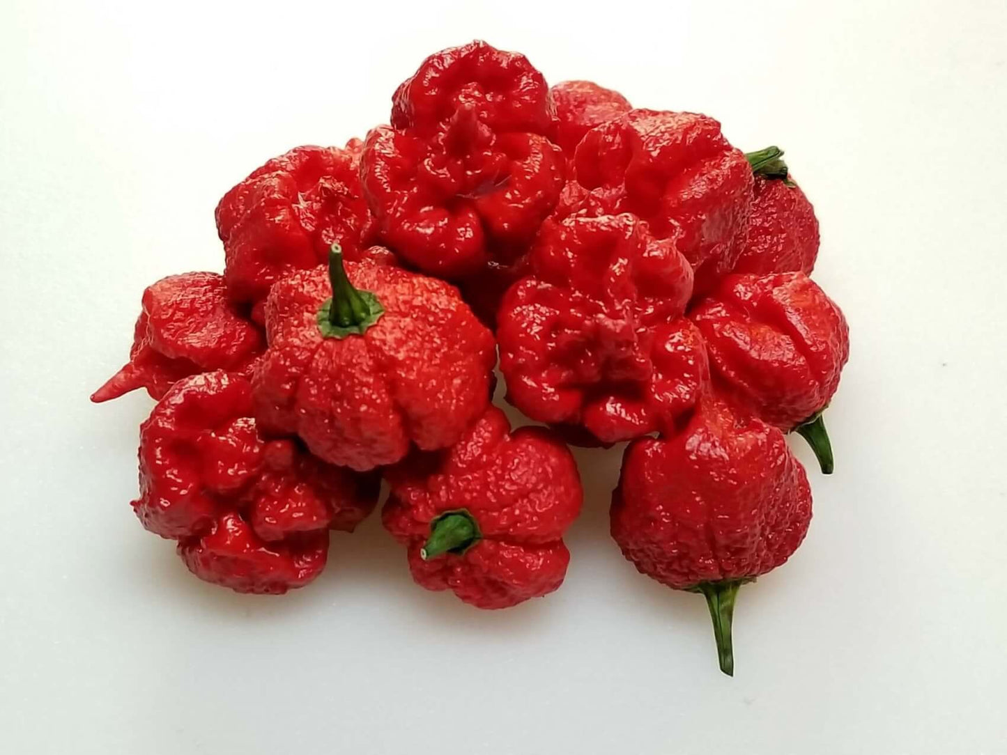 Hurt Berry Red