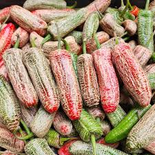 Farmers Market Jalepeño