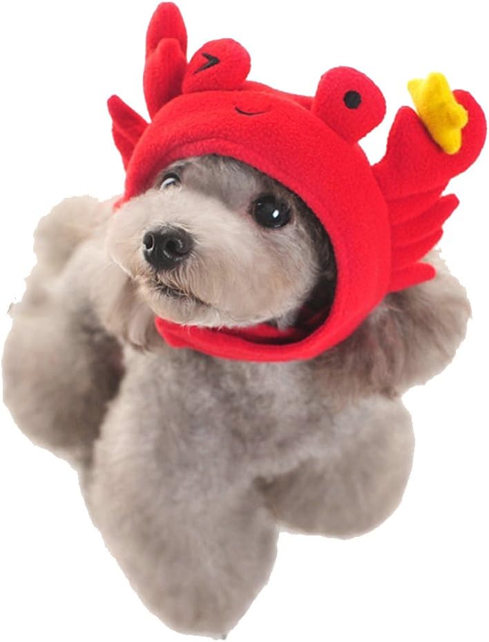 $CAN Crab Hat